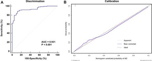 Figure 3 Validation of the established nomogram. The AUC of ROC is 0.931 (A), indicating good discrimination. The calibration plot (B) indicates that the nomogram-predicted ND compares very well with the actual outcome.