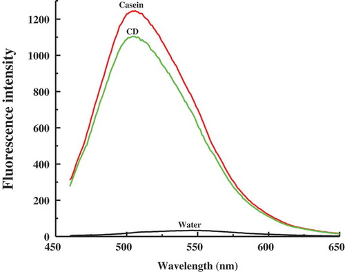 Figure 5. Fluorescence spectra of curcumin in water, casein micelles, and casein–dextran conjugate micelles at pH 7.