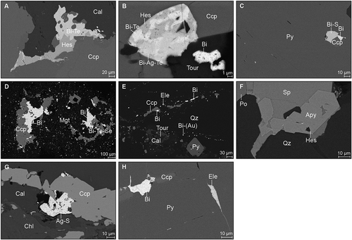 Figure 10. Backscattered electron images of various Bi, Ag and Au minerals in the Liikavaara Östra Cu-(W-Au) deposit. A. Intergrowth of a Bi-telluride and hessite at the edge of chalcopyrite and associated with calcite. B. Intergrowth of hessite, a Bi-telluride and a Bi-Ag-telluride in chalcopyrite next to native Bi. C. Inclusion of native Bi and a Bi-sulphide associated with chalcopyrite in pyrite. D. Disseminated native Bi and Bi-Te-Se associated with chalcopyrite and magnetite. E. Droplet-shaped grains of native Bi with some gold in quartz. F. Hessite at the edges of arsenopyrite intergrown with sphalerite. G. An Ag-sulphide at the border of chalcopyrite and associated with calcite and chlorite. H. Electrum in a crack in pyrite and inclusion of native Bi with chalcopyrite. Abbreviations: Apy – arsenopyrite, Cal – calcite, Ccp – chalcopyrite, Chl – chlorite, Ele – electrum, Hes – hessite, Mgt – magnetite, Po – pyrrhotite, Py – pyrite, Qz – quartz, Sp – sphalerite, Tour – tourmaline.