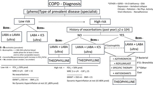 Figure 1 Targeted pharmacological treatment in COPD.