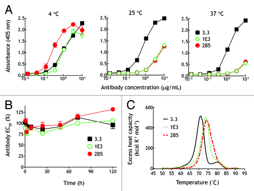 Figure 5. Temperature-dependent binding and stability of anti-PEG antibody variants. (A) Graded concentrations of purified 3.3, 1E3, or 2B5 antibodies were added to microplate wells coated with linear amino-PEG (MW 10,000 Da) at the indicated temperatures. After 1 h, the wells were washed and antibody binding was determined by adding HRP-conjugated donkey anti-mouse IgG Fc antibodies, followed by ABTS substrate. The mean absorbance values (405 nm) of triplicate determinations are shown. Bars, SD (B) 3.3 (■), 1E3 (○) and 2B5 (▲) antibodies were incubated at 37°C for the indicated times before their binding to CH3-PEG5k–NH2 in 96-well microtiter plates was determined by ELISA at 4°C. The activity of the antibodies at different times relative to their activities at time zero, determined by measuring 50% maximal responses in ELISA, are shown. (n = 3). Bars, SD (C) Thermal unfolding of 3.3 (black line), 1E3 (short dashed green line) and 2B5 (long dashed red line) as measured by differential scanning calorimetry in PBS at a heating rate of 1°C/min.