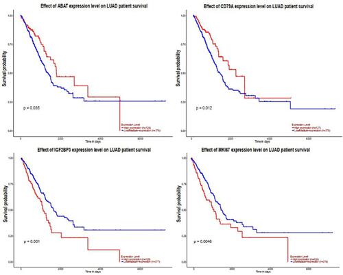 Figure 6 The expression level of the four DEGs in LUAD patient survival using UALCAN. “p<0.05” represents significant difference.