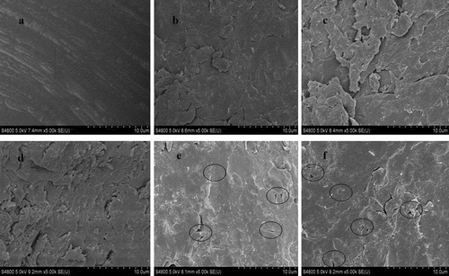 Figure 4. Effect of subcritical water treatment on the physical structure of zein protein. Scanning electron microscopy images of untreated zein protein (a) and subcritical water-treated zein (b–f). Subcritical water treatment conditions: treatment sample 0.5 g/30 mL; subcritical water treatment times: 20 min (b) and 60 min (c) and 100 min (d). Subcritical water treatment temperatures: 130°C (e) and 170°C (f). And all magnifications are ×5,000.