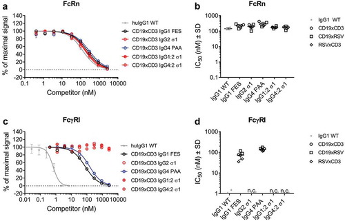 Figure 2. Binding of model BsAbs of different IgG subclasses to Fc receptors.The binding to FcRn and FcγRI of was determined by AlphaScreenTM competition assay in comparison to a WT huIgG1 (grey stars). In such assays, a higher IC50 value translates to a weaker binding to the tested FcR. A: Dose-response of FcRn binding. Curves show the competition of CD19xCD3 BsAbs of one representative experiment (single measurement per concentration). The error bars represent the SD of the WT-control which was measured on multiple plates.B: IC50 values of FcRn binding. CD19xCD3 (open circles), CD19xRSV (open squares) and RSVxCD3 (open diamonds) BsAbs were grouped by Fc and individual values are plotted from two independent experiments. Lines represent the mean IC50 ± standard deviation (SD) through all tested molecules per Fc.C: Dose-response of FcγRI binding. Curves show the competition of CD19xCD3 BsAbs of one representative experiment (single measurement per concentration). The error bars represent the SD of the WT-control which was measured on multiple plates.D: IC50 values of FcγRI binding. CD19xCD3 (open circles), CD19xRSV (open squares) and RSVxCD3 (open diamonds) BsAbs were grouped by Fc and individual values are plotted from two independent experiments. Lines represent the mean IC50 ± standard deviation (SD) through all tested molecules per Fc.n. c.: no competition for binding to FcγRI was observed at the highest applied concentration (2666 nM) for BsAbs containing an IgG2 σ1 Fc.