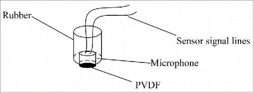 Figure 1. Sensor device. The signal acquisition device is composed primarily of PVDF film, an acoustic-electricity converter, and a fixture composed primarily of PVDF film, an acoustic-electricity converter, and a fixture.
