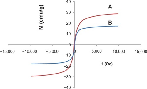 Figure 3 Magnetization plots of (A) iron oxide magnetite nanoparticles and (B) iron oxide nanoparticles coated with chitosan and 6-mercaptopurine.