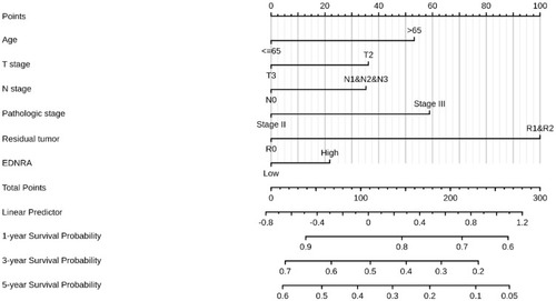 Figure 4 A nomogram for predicting probability of patients with 1-, 3- and 5-year overall survival (OS).