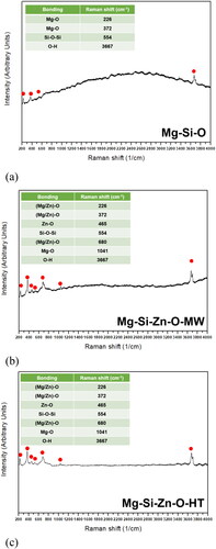 Figure 7. Raman spectroscopy results: (a) Mg-Si-O, (b) Mg-Si-Zn-O-MW, (c) Mg-Si-Zn-O-HT.