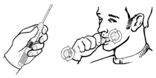 Figure 2. Procedure for collecting cheek cells.