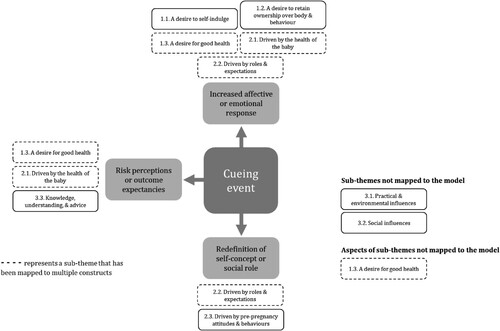 Figure 1. Mapping of sub-themes to the TM model constructs.