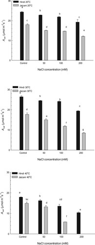 Figure 2. The photosynthetic light-saturated amount (Asat) per unit area of the leaf, estimated at 25°C and 1500 µmol m−2 s−1 photon flux for the two Sorghum bicolor cultivars. The data is the mean of leaves n = 4 (± SE). Different letters indicate significance of two-way interactions between salinity and temperature. Means that do not share a letter are significantly different.