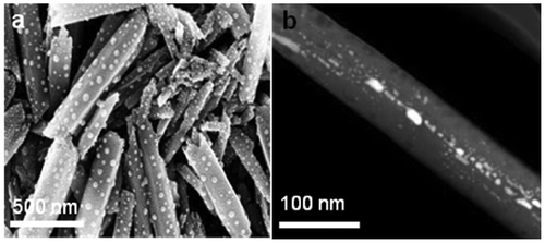 Figure 2. Clay nanotubes with silver particles formed at the outermost and in the inner tube surface; (a) SEM image obtained after bulk reaction of 0.5 mg ml–1 silver acetate mixed with halloysite; and (b) TEM image from halloysite loaded with silver acetate, washed and heated to 300 °C.
