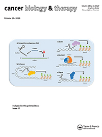 Cover image for Cancer Biology & Therapy, Volume 21, Issue 11, 2020