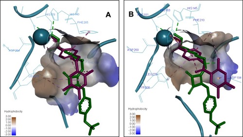Figure 5 Predicted 3D ligand binding pose of compound 7a (purple) in the HDAC1 (A) and HDAC2 (B) active sites overlapped with the binding pose of a known HDAC inhibitor from crystal structure 6G3O (green). The interacting residues are shown in line view, Zn ion is shown as a sky blue sphere. Dotted lines are used to visualize the protein–ligand interactions. Image prepared in Discovery Studio Visualizer.