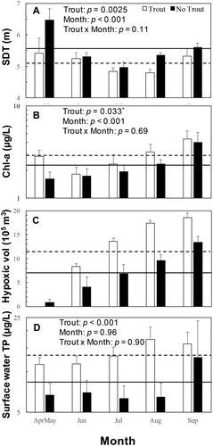 Figure 3. Mean levels (± se) for trophic state indicators (SDT, Chl-a, hypoxic volume, and TP) by month for years when trout were stocked (white bars) and moratorium years when trout were not stocked (black bars). Horizontal lines (dashed for trout years, solid for moratorium years) are grand means across all month periods. Two-factor ANOVA p values for main effects (trout, month) and the interaction between trout and month are included on the panels for SDT, Chl-a, and TP. The asterisk on the trout effect p value for Chl-a indicates that that p value did not meet the statistical significance threshold after application of the Bonferoni correction. Note that the y-axis scale is logarithmic for Chl-a (panel B) and TP (panel D).