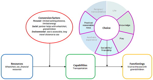 Figure 6. The capability care model applied to a situation where a person chooses to use her capability of transportation to achieve the functioning of visiting the zoo with her grandchildren. Using the visual representation of this model helps the healthcare team to analyse the situation from a capability perspective.