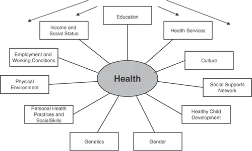 Figure 2. Schematic model of the Determinants of Health emphasizing that education is the most important determinant and influences all of the other determinants (arrows). Social environments is broken into multiple components e.g. social support network and income and social status.
