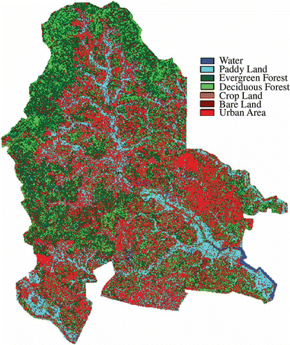 Fig. 2 Land cover map generated by Quick Bird remote sensing imagery.
