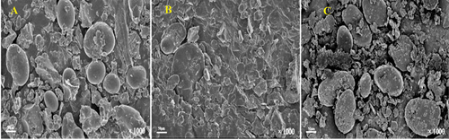 Figure 2. Scanning electron micrographs of different superfine ground mung bean flour. (a) – crushing machine, (b) – ball mill, and (c) – Vibratory mill (adapted from Yu et al., Citation2023).