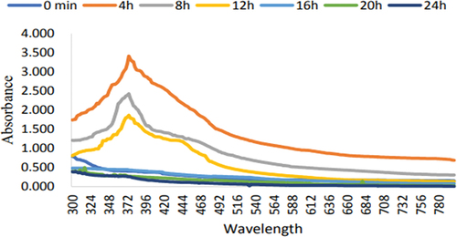 Figure 3. Ultraviolet-visible spectra for the production of zinc oxide nanoparticles by leaf extract of Eucalyptus globulus Labill. At 60°C for various periods of incubation.