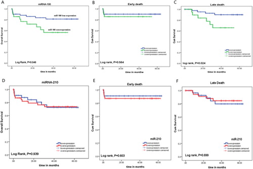 Figure 4. Association between miR-100 expression and: (A) overall survival (OS) rates, (B) incidence of early death, (C) incidence of late death. Association between miR-210 expression and: (D) overall survival (OS) rates, (E) incidence of early death, (F) incidence of late death.