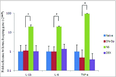 Figure 5. Effects of LNIT with DN-Dp on proinflammatory cytokine expression. Proinflammatory cytokine mRNA of lung tissue was measured by qPCR. IL-1b, IL-6 and TNF-a were expressed as relative mRNA expression using the 2(-△△CT) calculation method. Data represent the mean relative mRNA expression (±SD) from 3 mice in each group. *P<0.05, compared to the denatured Der p and non-treatment groups.
