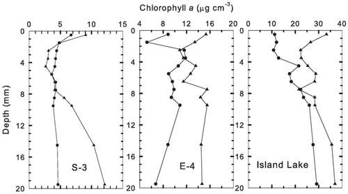 FIGURE 1. Depth distribution of chlorophyll a in surficial sediments of duplicate cores from each study lake. Concentrations are plotted at the midpoint of each 1 mm depth increment.