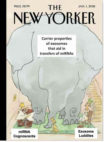 Figure 1. Obvious carrier effects on intercellular miRNA transfers have been vastly overlooked and thus are ‘The Elephant in the Room’. The carrier-delivering and carrier-acting aspects of exosomal transfer of miRNAs to targeted cells are predicted to promote the transfer and subsequent molecular functions of their delivered miRNA on the targeted cells. This can account for unexpected greater effects of exosome miRNA delivery and subsequent intracellular actions, than conceptualized by established canonical concepts of miRNA of only direct addition to targeted cells or genetic expression of miRNAs. Thus, exosome transfers of what are considered low amounts of miRNA, acting via both ‘carrier-delivery’ and ‘carrier-acting’ modes are the ‘Elephant in the Room’. This is because these obvious exosome carrier effects have been overlooked by both the miRNA Cognoscente clinging to conventional miRNA transfer concepts and thus, not considered as crucial to miRNA transfers to acceptor cells, and by the few remaining anti-exosome Luddites, who doubt the significance of EV per se. These carrier ‘Elephant in the Room’ aspects of these issues should be obvious, but are overlooked because it makes some uncomfortable, who are clinging to conventional canonical concepts; as out of this box (non- canonical). The point is that something as conspicuous as an elephant can be overlooked amid codified canonical concepts of such interactions