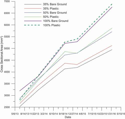 Figure 3. Pomegranate tree trunk cross-sectional area in plots under 35%, 50% or 100% irrigation treatments with or without plastic cover