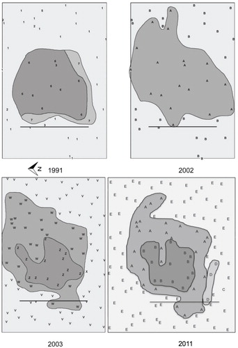 FIGURE 5. Changes in alpine plant community patterns on the 20 × 30 m study site from 1991 to 2011, in relation to the snow fence, with an angle slightly to the north, consistent with the pattern of snow-lie (see Fig. 2). Note that the density of sampling increased between the 2002 and 2003 sampling and the site was extended 4 m along the northern boundary for the 2011 sampling. Letters indicate species grouping derived from the cluster analyses of shoot frequency data. Shading represents the communities recognized (species groups: dark = one or two snowbank communities and light = cushionfield community). See text for further details.