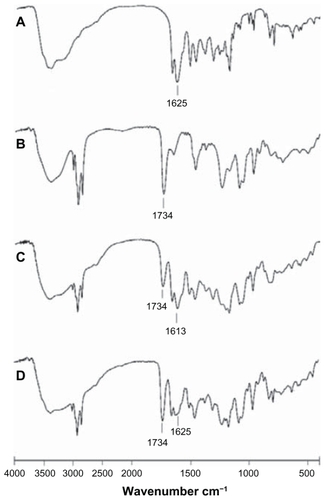 Figure 1 Infrared spectra of (A) morin; (B) phospholipids; (C) morin-phospholipid complex; and (D) physical mixture of morin and phospholipids.