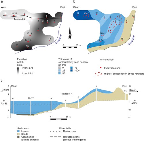 Figure 4. Paleogeomorphology of the site area. (a) Digital elevation model (DEM) constructed from elevation measurements obtained from the locations of excavation units using a Differential Global Positioning System (DGPS); (b) isopach map indicating the measured thickness of surficial loam deposits; and c. cross-section diagram showing the site’s stratigraphy along transect A (Figure by Julijan Vermeer).