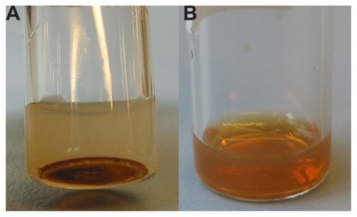 Figure 1 Pictures of (A) sonicated liposomes loaded with polar-coated EMG-1500 USPIOs and (B) extruded sMLs encapsulating dextran-coated Molday-Ion USPIOs.Note: Photographs were taken a few hours after purification, and samples were kept at room temperature.Abbreviation: USPIOs, ultrasmall superparamagnetic iron oxides.