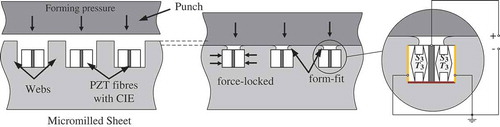 Figure 2. Principle for the structural integration with joining by forming and the use of the piezoelectric d33-effect.