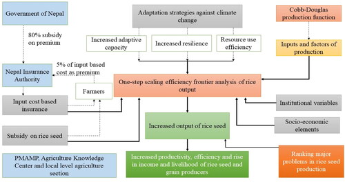 Figure 1. Conceptual framework of the study.