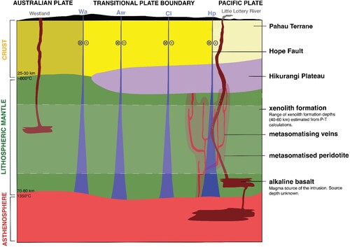 Figure 13. Model of the plate boundary lithosphere during the time of the Little Lottery River intrusion. The four prominent dextral-slip faults of the Marlborough Fault System: the Wairau (Wa), Awatere (Aw), Clarence (Cl) and Hope (Hp) Fault, are annotated in blue. The range of formation depths (40-60 km) for the Little Lottery River xenoliths is indicated in Fig. 6. We show the fault as a strike-slip fault, although these may have been reverse faults early in their history (Collett et al. Citation2019). The thickness of the crust is from Wilson et al. (Citation2004), with the lithospheric mantle thickness extrapolated from Scott et al. (Citation2014a, Citation2014b).