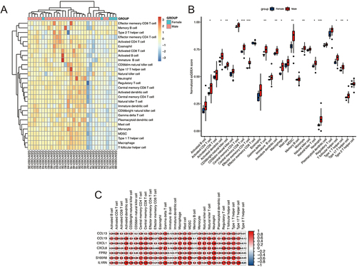 Figure 5 Immune Infiltration Analysis. (A) Immune cell infiltration in each sample. (B) Relative ssGSEA score in immune cells. (C) Correlations analysis between immune cells and IRGs. *P<0.05, **P<0.01, ***P<0.001.