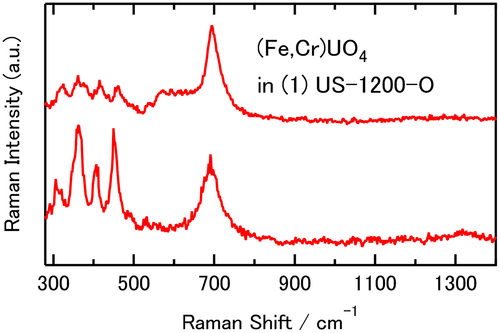 Figure 3. Nonaveraged (single-point) Raman spectra of the (Fe,Cr)UO4 uranate components observed in the 1 U-SUS debris.