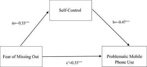 Figure 2 Results of mediation analysis of self-control. ***p<0.001.