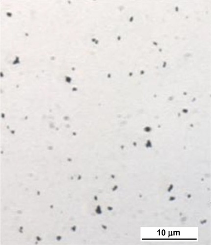 Figure 2 Ni nanoparticles agglomerates/aggregates formation in saline under light microscopy.Notes: Ni nanoparticles in saline were dropped onto a glass slide. Agglomerates/aggregates of Ni nanoparticles in solution were checked under the microscope (400X). After precipitation, the larger agglomerates/aggregates were in the size range of 100–600 nm, and the smaller agglomerates/aggregates were not visible under the light microscope at 400X.Abbreviation: Ni, nickel.