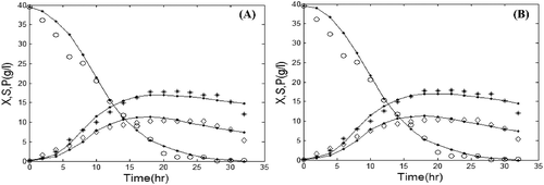 Figure 3. Comparison of the experimental and simulated data of batch fermentation by using GA (A) and PSO (B). Experimental concentrations of X (٭), S (○) and P (◊) vs. simulated data (solid lines).