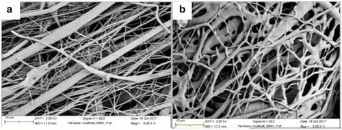 Figure 5. SEM micrograph showing the morphologies of (a) PLGA/Ge-PG electrospun scaffold and (b) PLGA/Ge-F127/PG scaffold (with permission from [Citation117]).