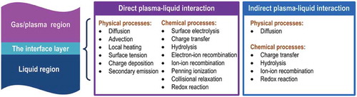 Figure 16. Comparison of direct and indirect plasma-liquid interactions; liquid is not part of the electric circuit in indirect interactions [Citation206]. Reproduced by permission of IOP Publishing.