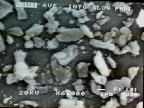 Figure 3.  SEM image of SiO2-RuCl3.