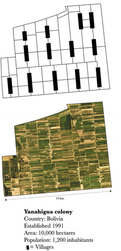 Figure 4. Typical structure of a colony (col. Yanahigua, Bolivia). Evenly-spaced, linear “street-villages” are connected by a grid of country roads, with narrow agricultural plots extending outward from each village