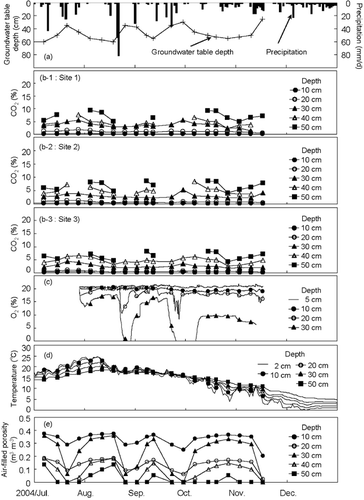 Figure 3  Seasonal changes in (a) groundwater table level with daily precipitation, (b) CO2 volume concentrations at the three sites, (c) O2 volume concentrations, (d) soil temperatures and (e) air-filled porosity.