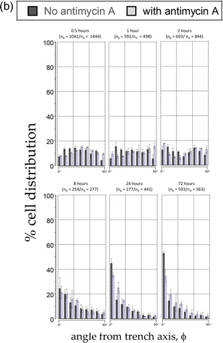 Figure 8(b). Percentage distribution of cells on the 10 μm comb structures when cultured in media with no antimycin A (solid bins) and with antimycin A (hatched bins). Six incubation time were tested - 0.5, 1, 2, 8, 24, and 72 hours.