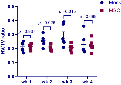 Figure 4 Right-to-total ventricle ratio (RV/TV) of birds treated with MSCs (MSC group) or PBS (mock group) at weeks 1–4 after MSC implantation. Data are expressed as mean ± SEM of 6 birds.