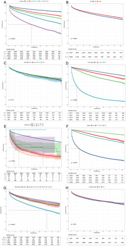 Figure 3. Correlation of different clinical variables with OS. (A) Age, (B) Sex, (C) Race, (D) AJCC-Stage, (E) Histological type, (F) Surgery, (G) Marital status, and (H) Insurance status (AIAN: American Indian/Alaska Native; API: Asian or Pacific Islander; RCC: renal cell carcinoma; Spcc: spindle cell carcinoma; Edc: renal endocrine tumor; Sqcc: squamous cell carcinoma; Oet: other types of renal epithelial tumors; Npb: nephroblastoma; NS: no surgery; LTE: local tumor excision; PN: partial nephrectomy; RN: radical nephrectomy).