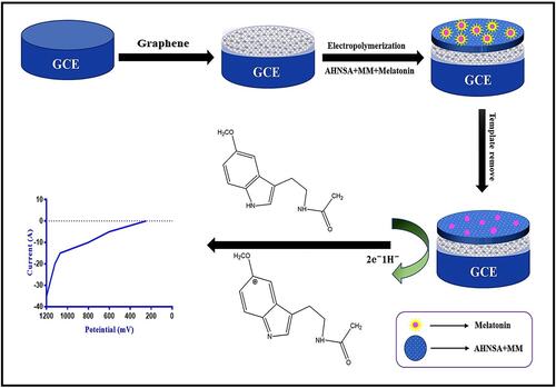 Figure 5 Scheme showing the fabrication of a molecularly imprinted melatonin sensor using a graphene and co-polymer composite.